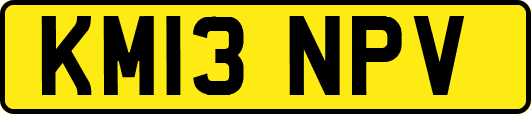KM13NPV