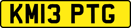 KM13PTG