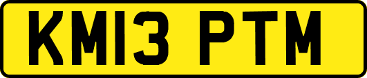 KM13PTM