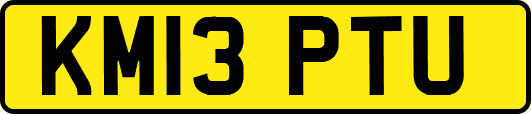 KM13PTU