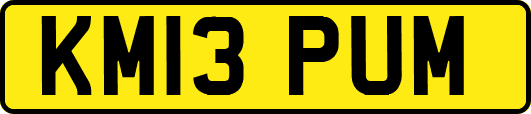KM13PUM