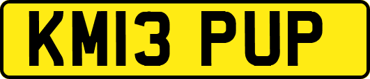 KM13PUP
