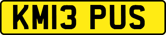 KM13PUS