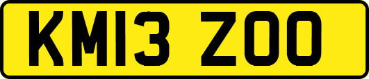 KM13ZOO