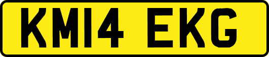 KM14EKG