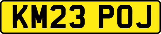 KM23POJ