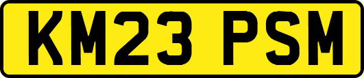 KM23PSM