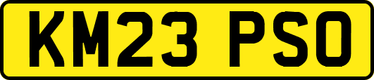 KM23PSO