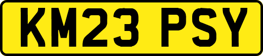 KM23PSY