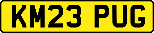 KM23PUG