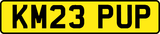 KM23PUP
