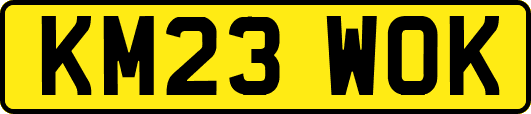KM23WOK