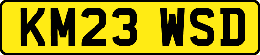 KM23WSD