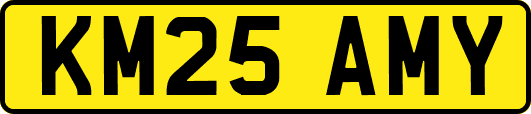 KM25AMY