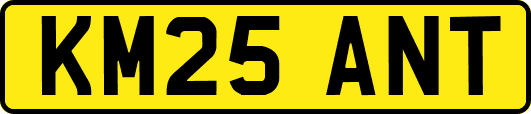 KM25ANT
