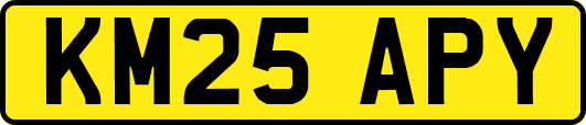 KM25APY