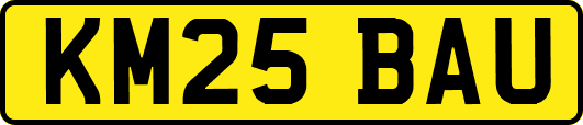 KM25BAU
