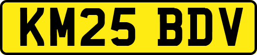 KM25BDV