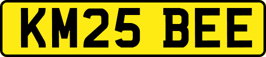 KM25BEE