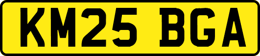 KM25BGA