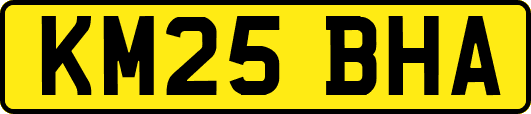 KM25BHA