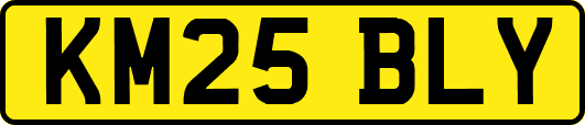 KM25BLY