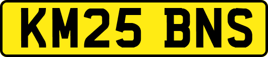 KM25BNS