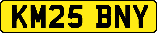 KM25BNY