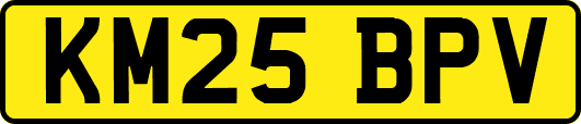 KM25BPV