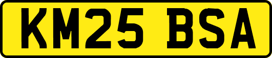 KM25BSA