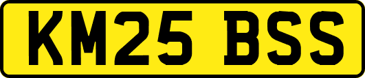 KM25BSS