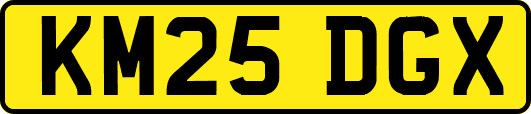KM25DGX