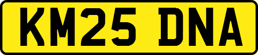 KM25DNA