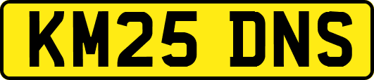 KM25DNS