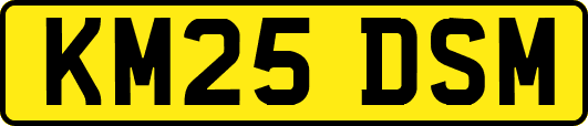 KM25DSM