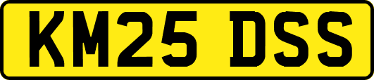 KM25DSS