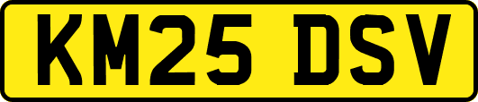 KM25DSV