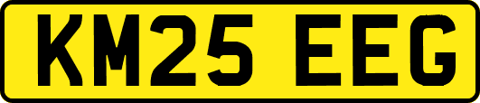 KM25EEG