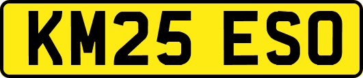 KM25ESO