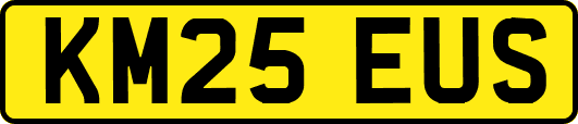 KM25EUS