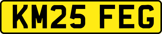 KM25FEG