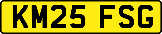 KM25FSG