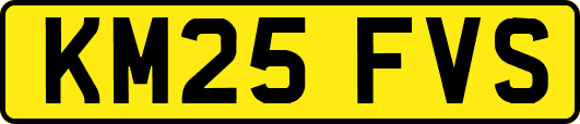 KM25FVS