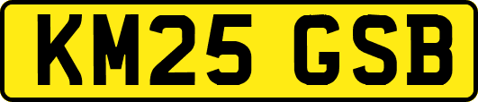 KM25GSB