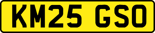 KM25GSO