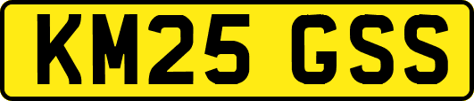 KM25GSS