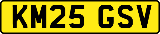 KM25GSV