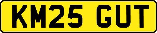 KM25GUT