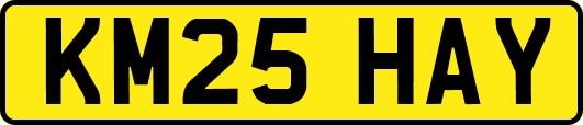 KM25HAY