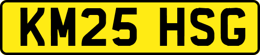 KM25HSG